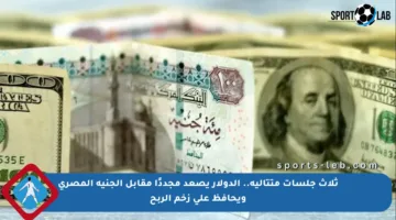 ثلاث جلسات متتالية.. الدولار يصعد مجددًا مقابل الجنيه المصري ويحافظ على زخم الربح